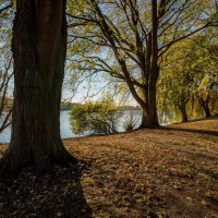 Вокруг озера... :: Николай Гирш