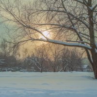 Зимний день. :: Николай 