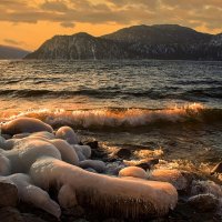 Телецкое озеро :: елена беликова Телецкое озеро :: елена беликова