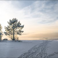 * * * :: Андрей Бобин * * * :: Андрей Бобин