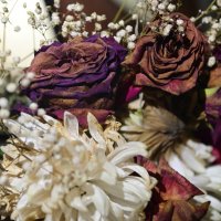 / :: Константин Сафронов