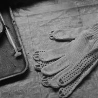 / :: Константин Сафронов