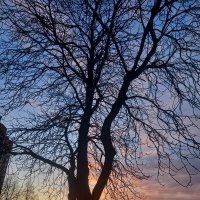 Закат :: Сапсан 