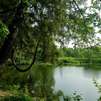 Шуваловский парк :: Елена Суханова