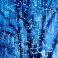 холод :: Vanya Zhukov