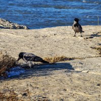 Берег :: Анатолий Чикчирный Берег :: Анатолий Чикчирный