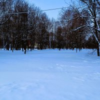 Чебоксары. Зимняя лужайка сквера им. В. Чапаева. :: Пётр Чернега Чебоксары. Зимняя лужайка сквера им. В. Чапаева. :: Пётр Чернега