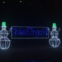 с новым годом :: Владимир Зырянов