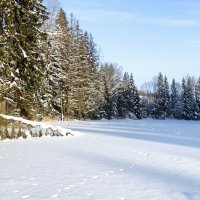 Зимний пейзаж :: Милешкин Владимир Алексеевич 