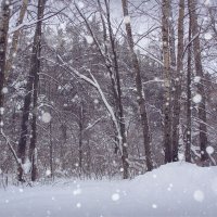 Зимняя картинка :: Alisia La DEMA