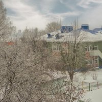 В морозных кружевах ... :: Ravile 