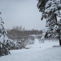 Снежный пейзаж :: Александр Синдерёв