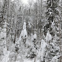 перекур :: Владимир перекур :: Владимир