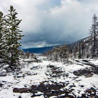 Дорога :: Виктор Фоменко Дорога :: Виктор Фоменко