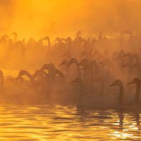 Морозно...На закате :: владимир 