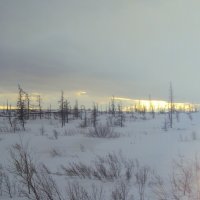 ЯМАЛ :: Tata Wolf ЯМАЛ :: Tata Wolf