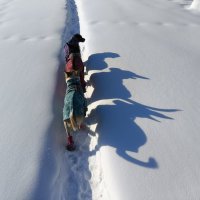 Караван :: Anna Ivanova