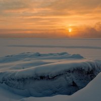 **** :: Алексей Мезенцев