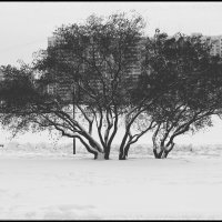 . . . :: Руслан 