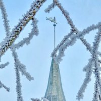 Калининград. Кафедральный собор. :: Михаил Свиденцов