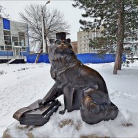 Кот учёный! :: Надежда Кот учёный! :: Надежда