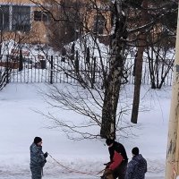 Полицейские будни. :: Ольга Полицейские будни. :: Ольга