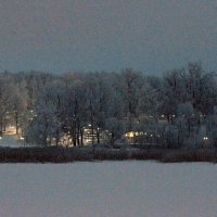 Зима в Подмосковье. :: Дмитрий 