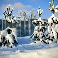 Январь снежный. :: Михаил Столяров