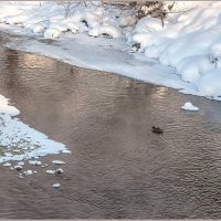 Январским днём... :: Aquarius - Сергей