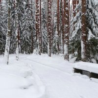 Зима в январе. :: Милешкин Владимир Алексеевич 
