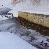 Зима в Царицыно :: Ольга Зима в Царицыно :: Ольга