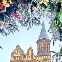 Калининград. Остров Канта. Кафедральный собор. :: Михаил Свиденцов