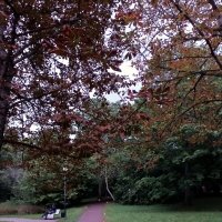 По дорожкам парка... :: Veera V