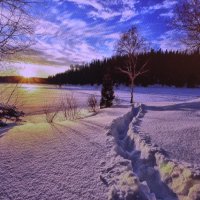 Зимняя красота :: Людмила Смородинская Зимняя красота :: Людмила Смородинская