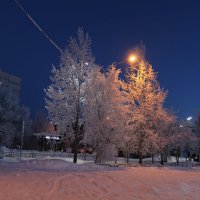 Ах, этот вечер... :: Ольга 