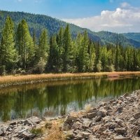 Воспоминания о Горном Алтае :: елена беликова