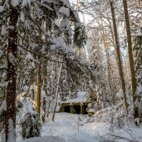 Про зиму :: Сергей Цветков Про зиму :: Сергей Цветков