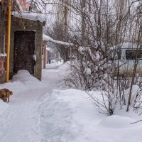 Моя вторая дворянка :: Игорь Сикорский