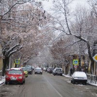 Зима наулице Чехова :: Валентин Семчишин Зима наулице Чехова :: Валентин Семчишин