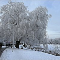 Картинка зимы. :: Валерия Комова