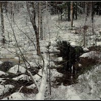 Зима на болоте :: Aleksandr Gal