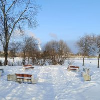 Про январь... :: Мария Васильева