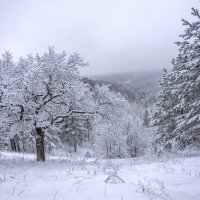 И в самых незатейливых вещах вдруг разглядеть немного волшебства... :: Наталья Димова