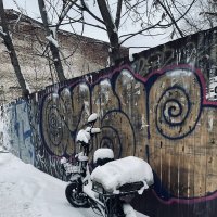 У забора :: Лена -