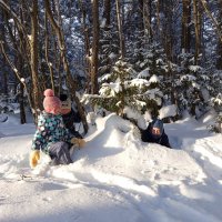 В прятки в лесу! :: Алена 