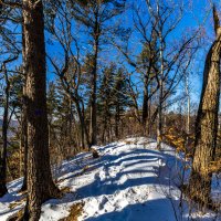 Troll Trail :: Шурф Сьлядек 