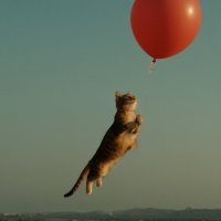 Полет :: ura Зелев