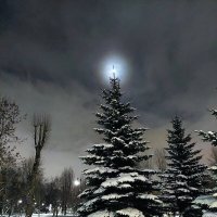 Лунный вечер перед Новым годом :: Ирина Румянцева