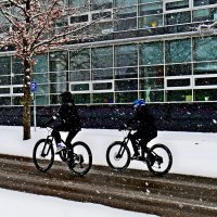 Южная зима - 17 :: Алексей Кузнецов