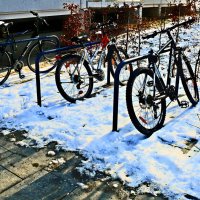 Южная зима - 20 :: Алексей Кузнецов